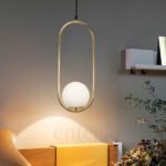 Modern Oval Pendant Light with Frosted Globe